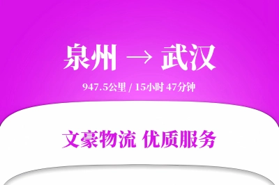泉州到武汉长途搬家公司-定制运输方案运输专线-快速准搬