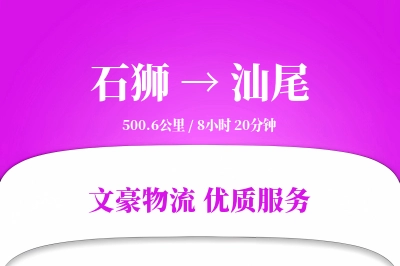 石狮到汕尾物流公司-危险品货运专线「数据驱动」