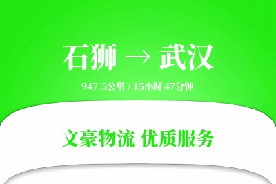 石狮到武汉物流公司-冷链运输专线「GPS定位」