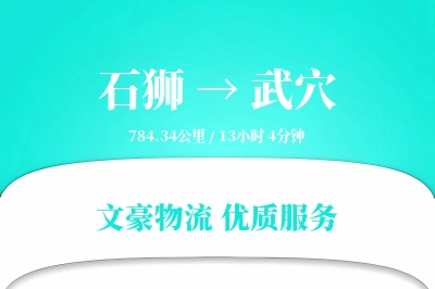 石狮到武穴物流公司-包车货运专线「智能追踪」