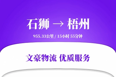 石狮到梧州物流公司-危险品运输专线「安全无忧」