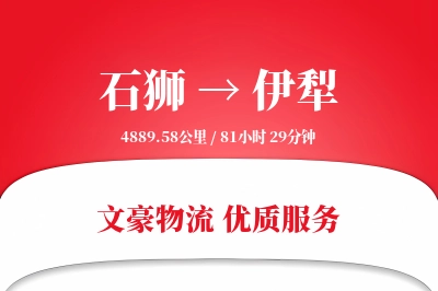 石狮到伊犁物流公司-电商运输专线「极速送达」