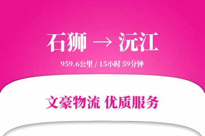 石狮到沅江物流公司-电商货运专线「多式联运」