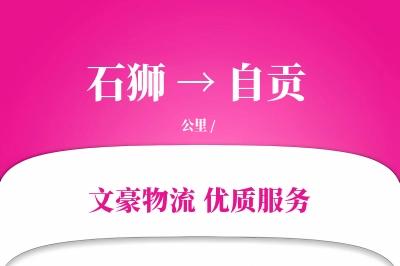 石狮到自贡物流公司-搬家物流专线「数据驱动」